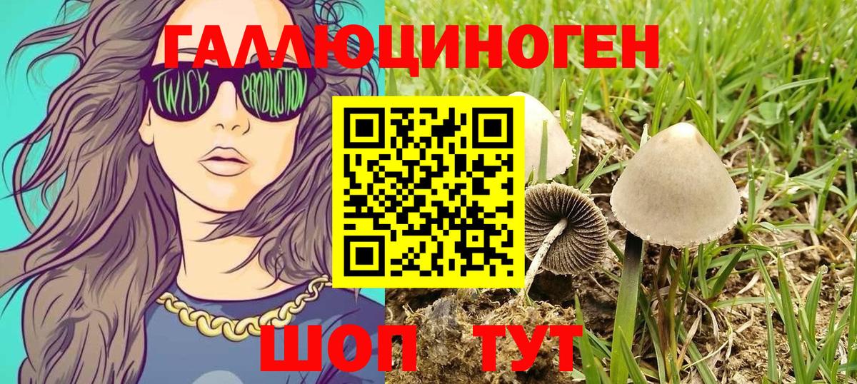 сколько стоит  Псилоцибиновые грибы мухоморы  Вход с VPN  Севастополь 